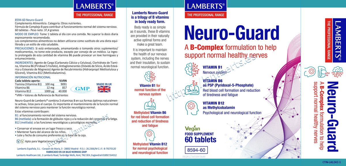 Neuro-Guard — imagen 2