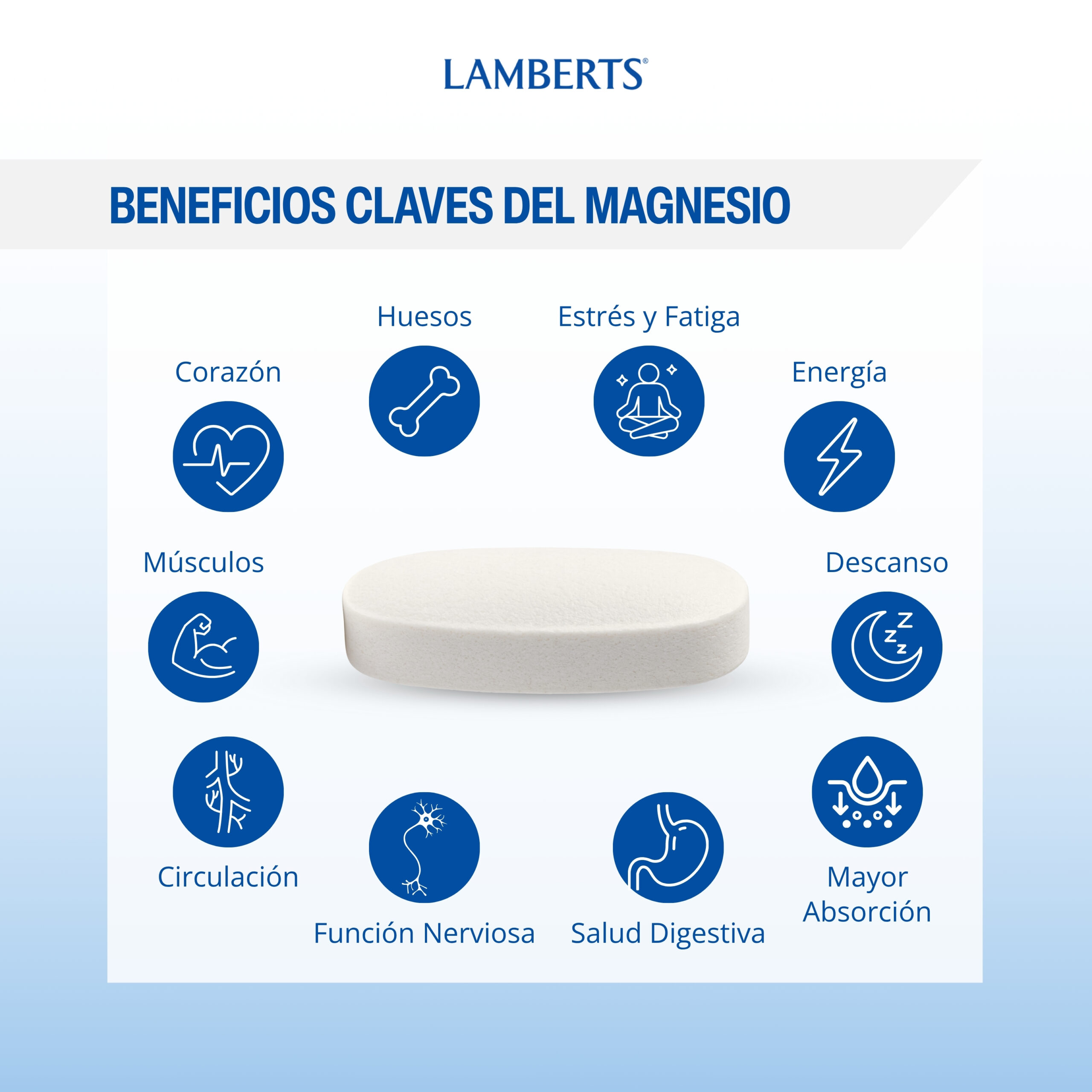 MagAsorb. Magnesio en polvo como Citrato, muy soluble — imagen 4